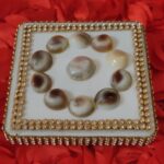 Gomti Chakra (Set of 11)