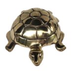 Brass Tortoise
